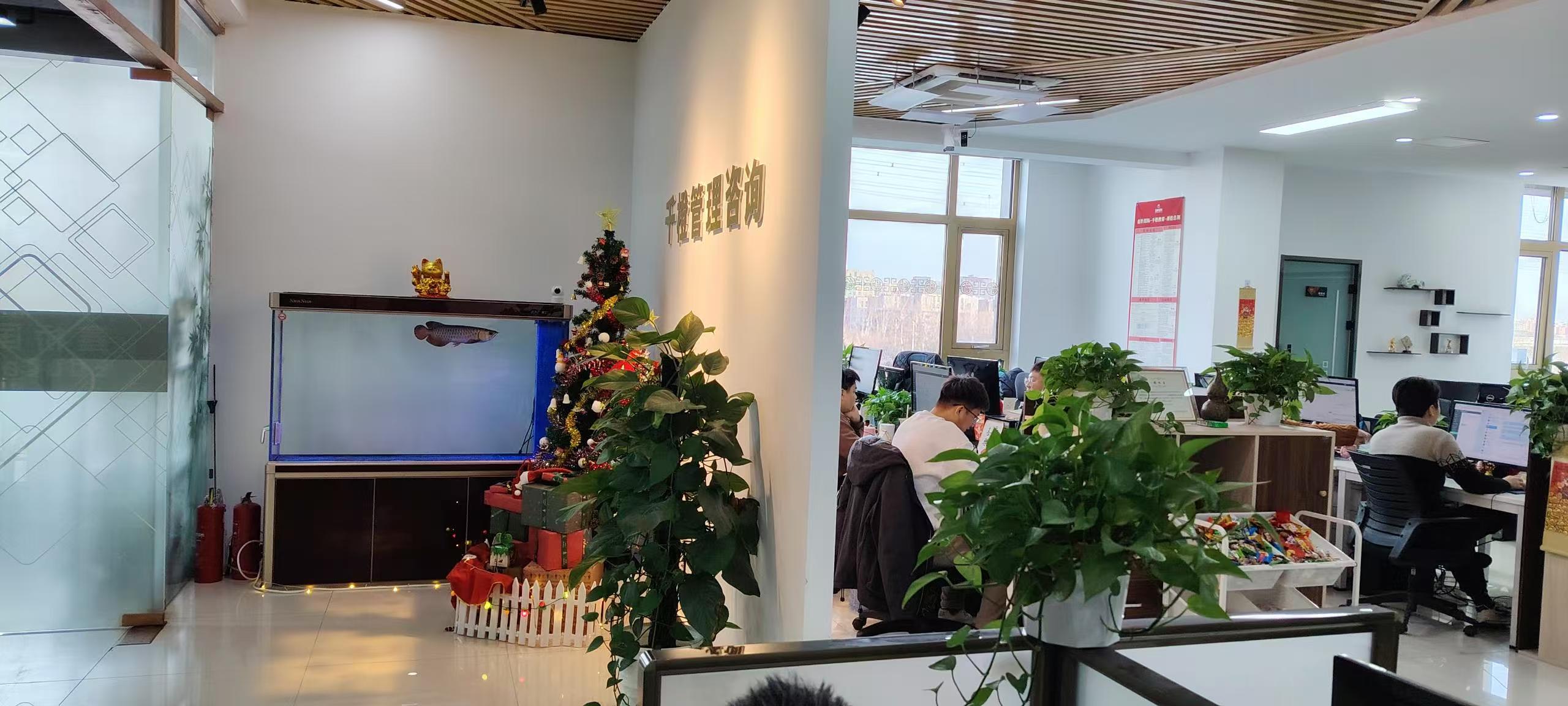 心理咨询师备考与课程服务体系示意图