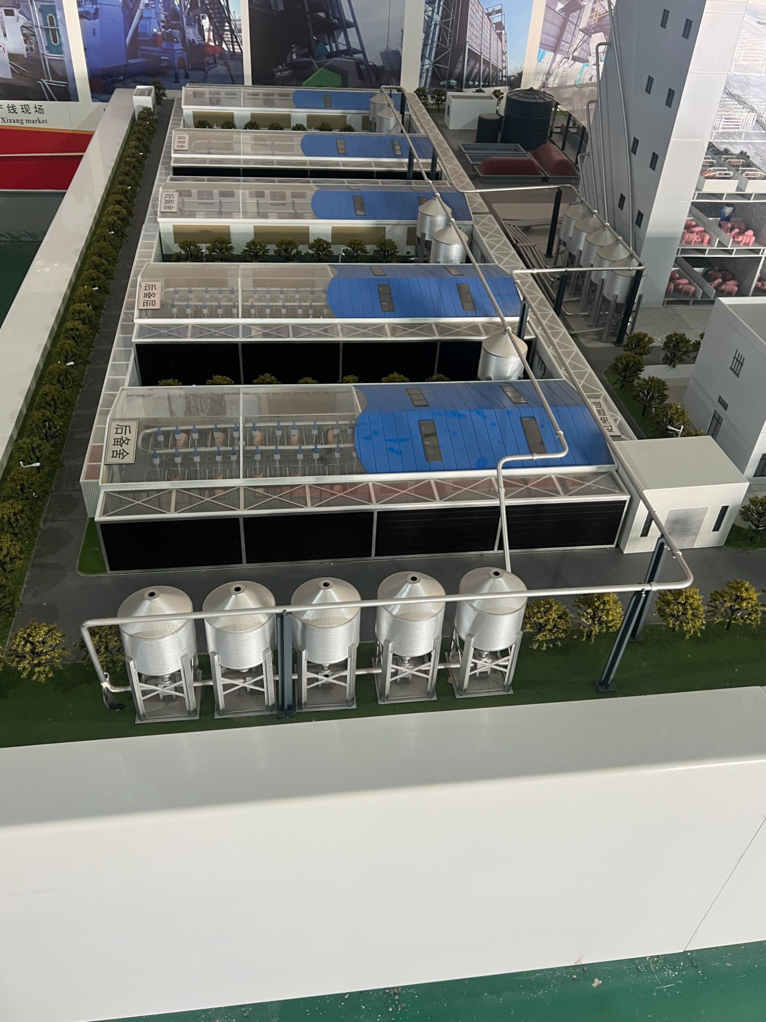 钢板仓主体结构示意图