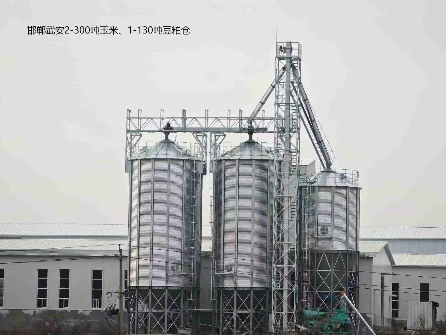 钢板仓主体结构示意
