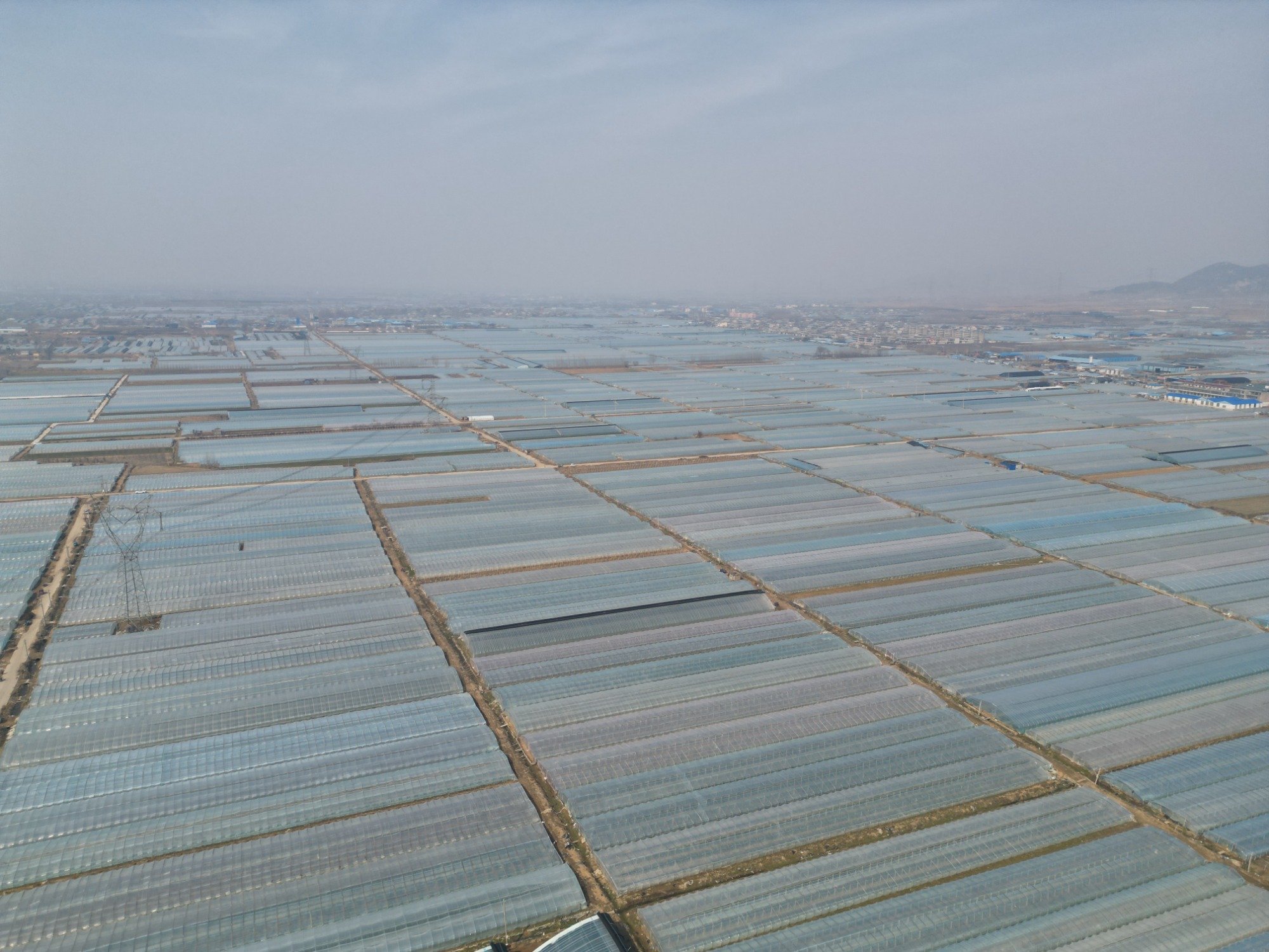 寿长大棚膜生产线实景图