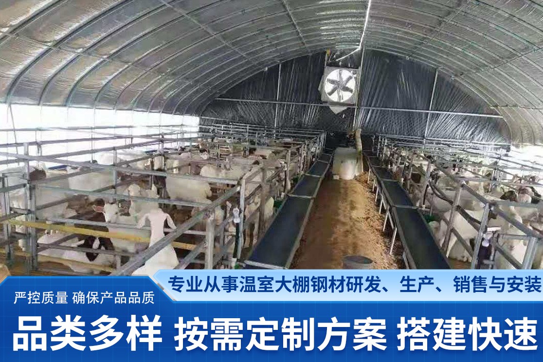 连体大棚施工现场