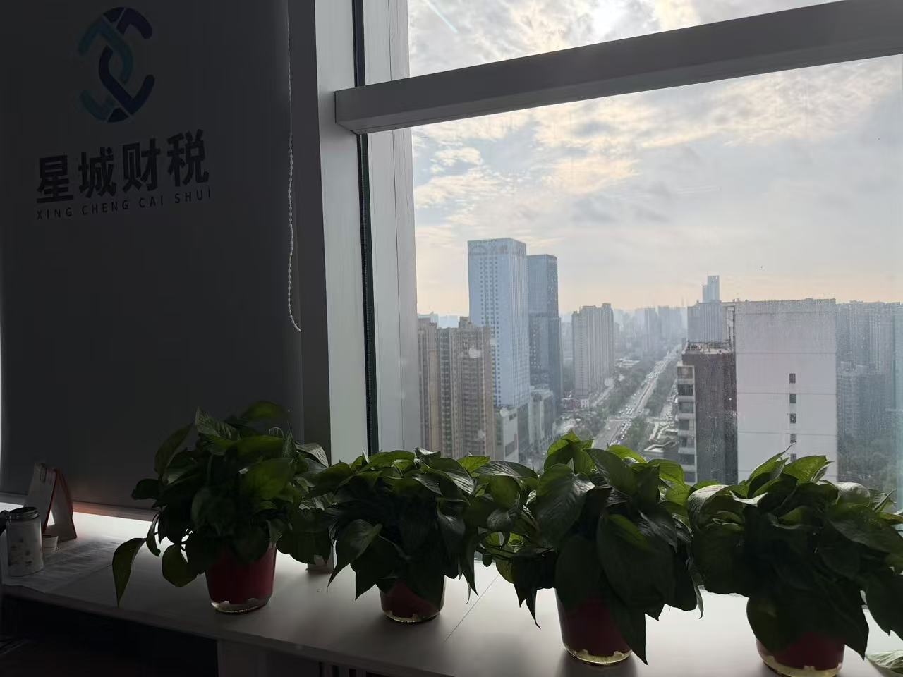 星城财税标准化服务流程展示