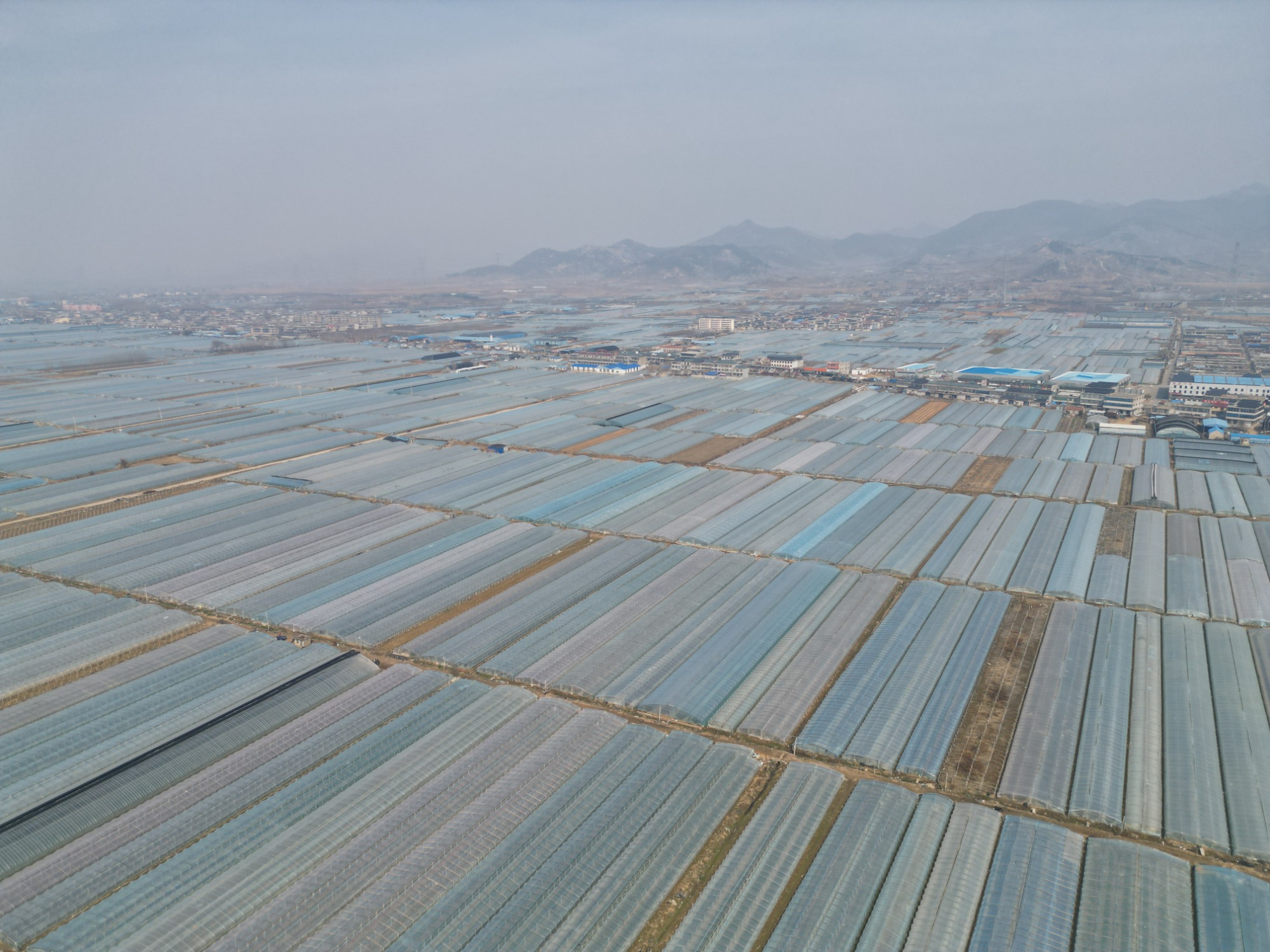 增温膜应用场景