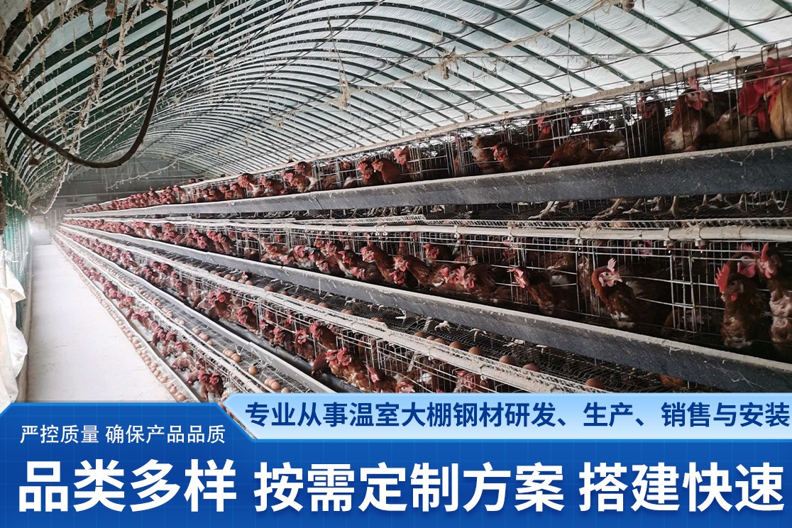 温室大棚钢结构施工现场