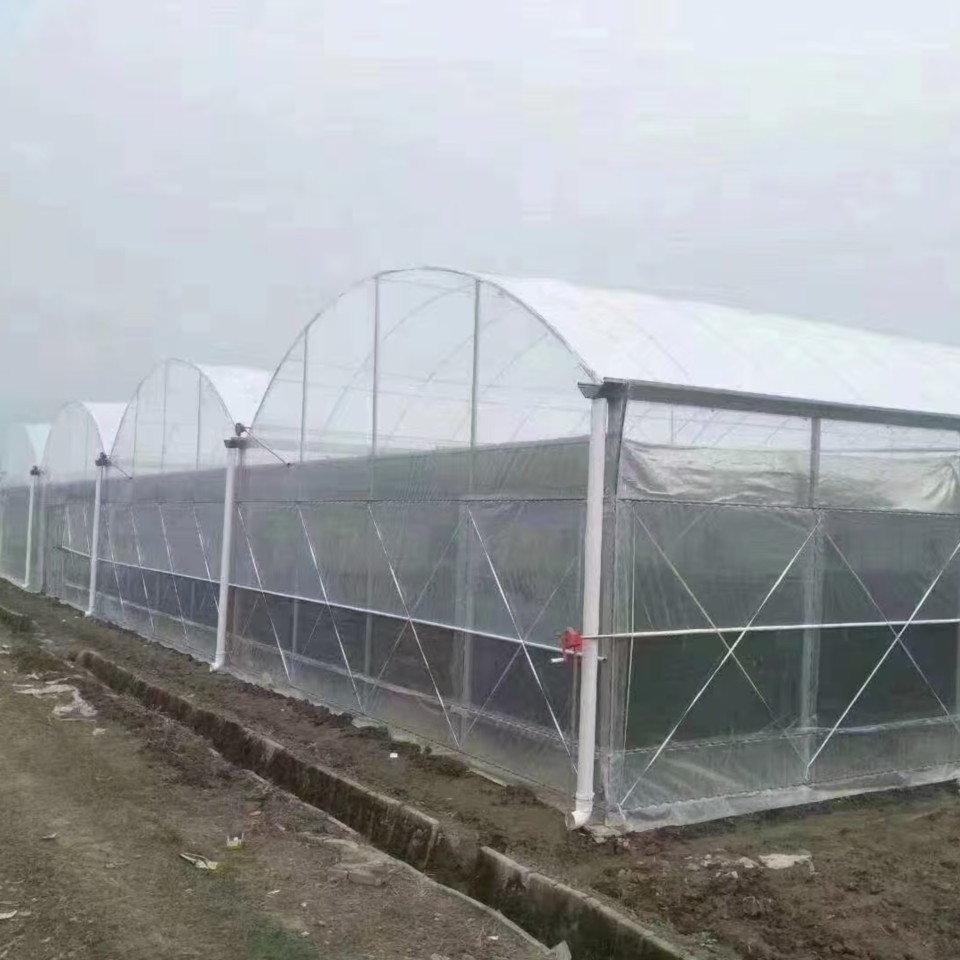 吉林市玻璃温室大棚公司