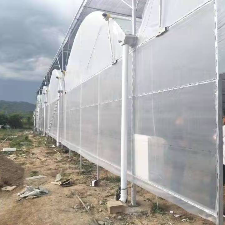 奎文薄膜温室整改厂家-智能物联网大棚