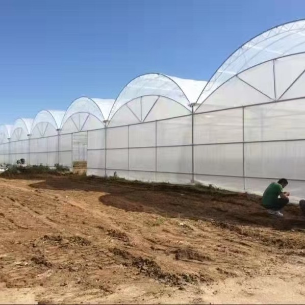 玉溪市薄膜大棚公司