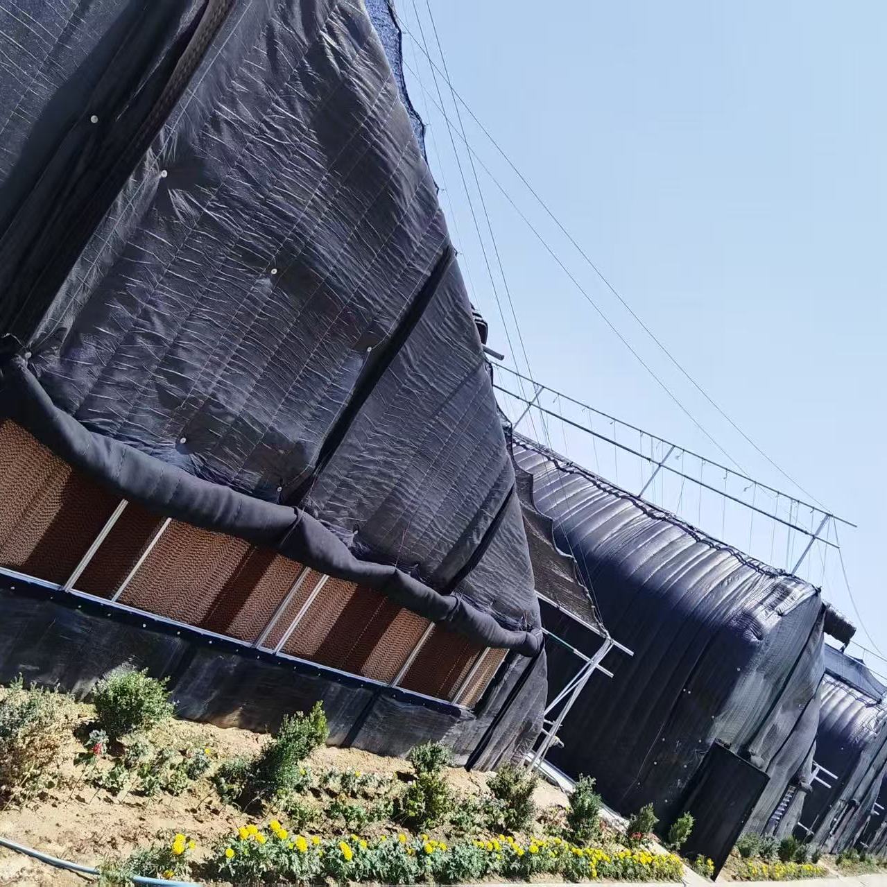 寒亭蔬菜玻璃温室供应商日光温室大棚产品图