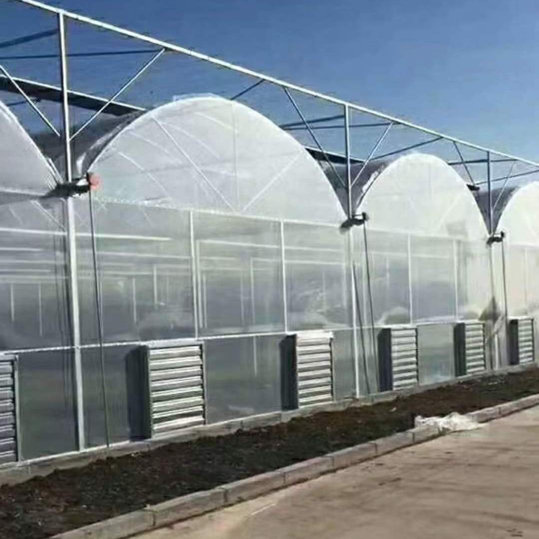 南山区异形温室大棚
