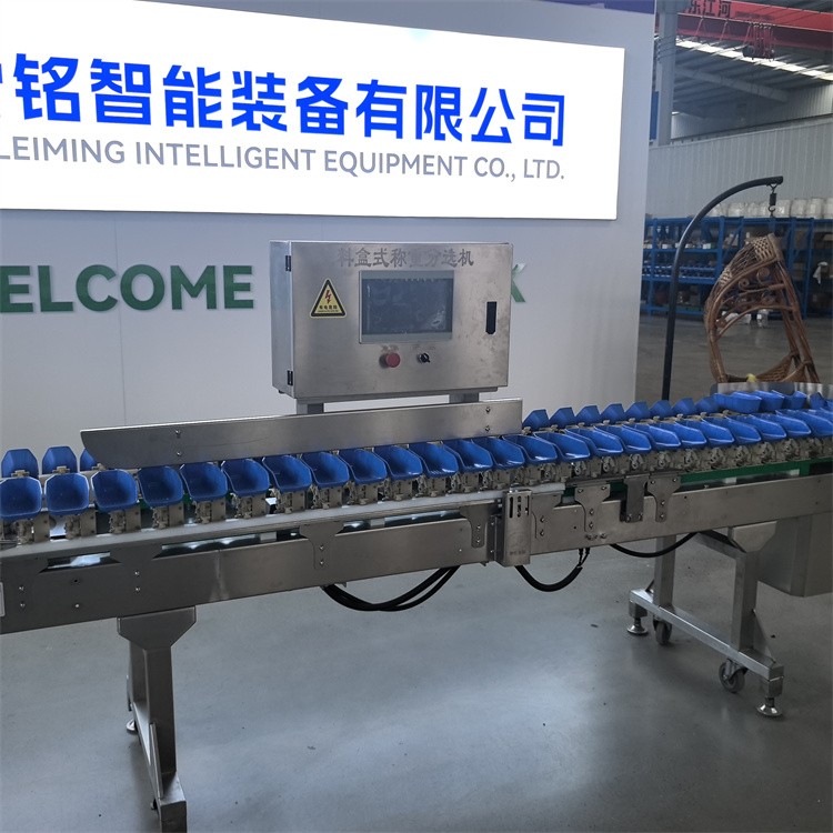 称重分选设备产线实景图