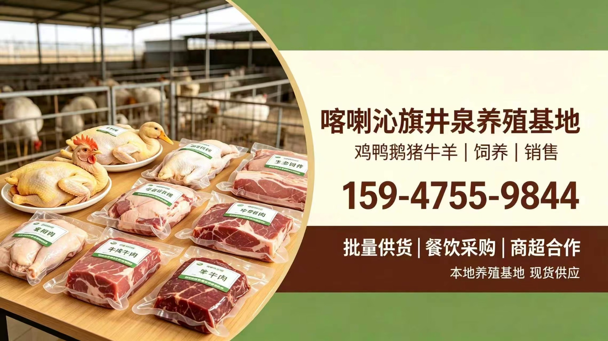 喀喇沁旗井泉养殖场标准化圈舍