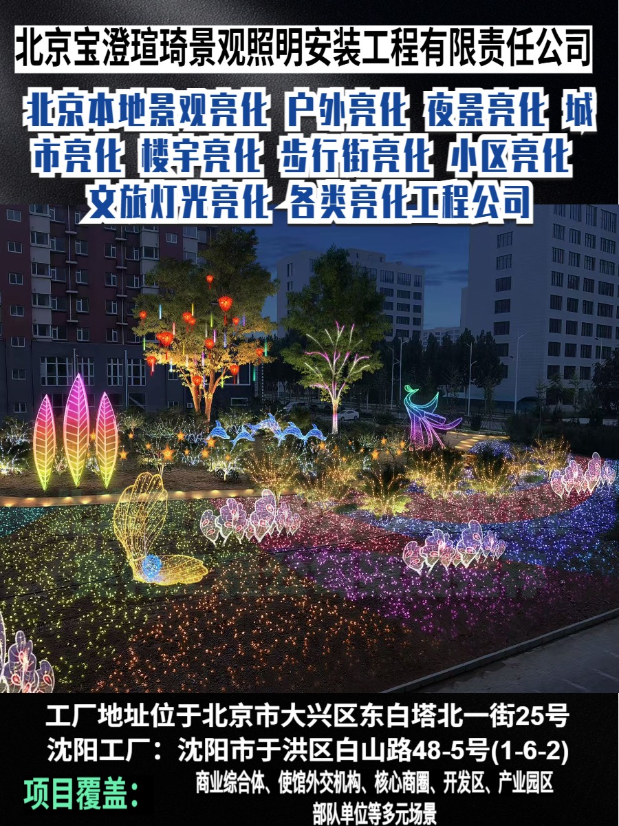 灯光秀实景效果