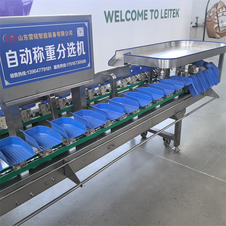 自动化分拣流水线实拍
