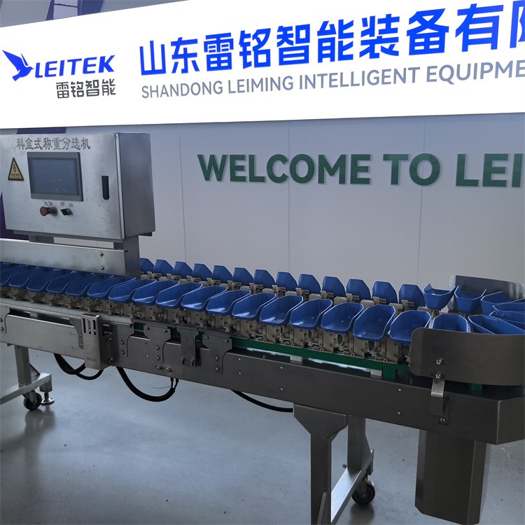 榴莲肉分选设备结构示意图