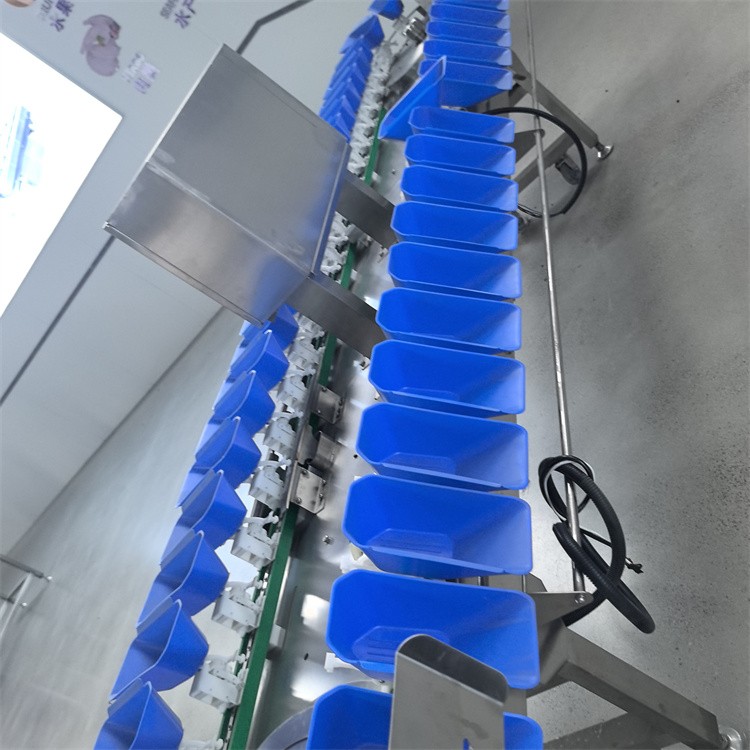 Weight Sorting Setup