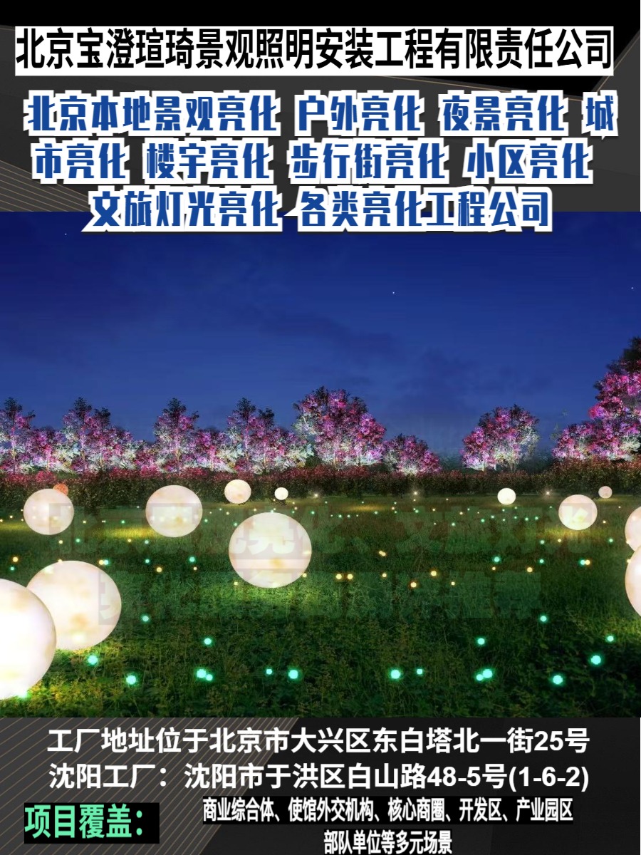 景观灯光秀实景图
