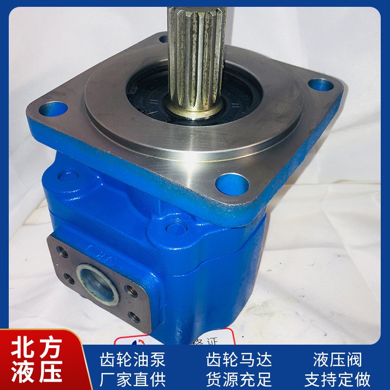 齿轮泵内部结构示意