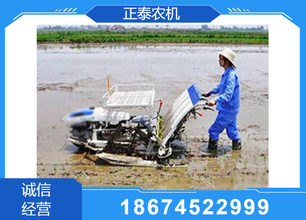 插秧机作业现场