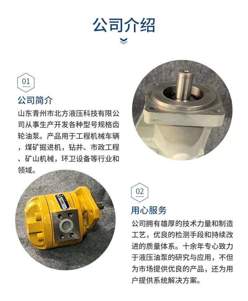 多联齿轮泵安装示意图