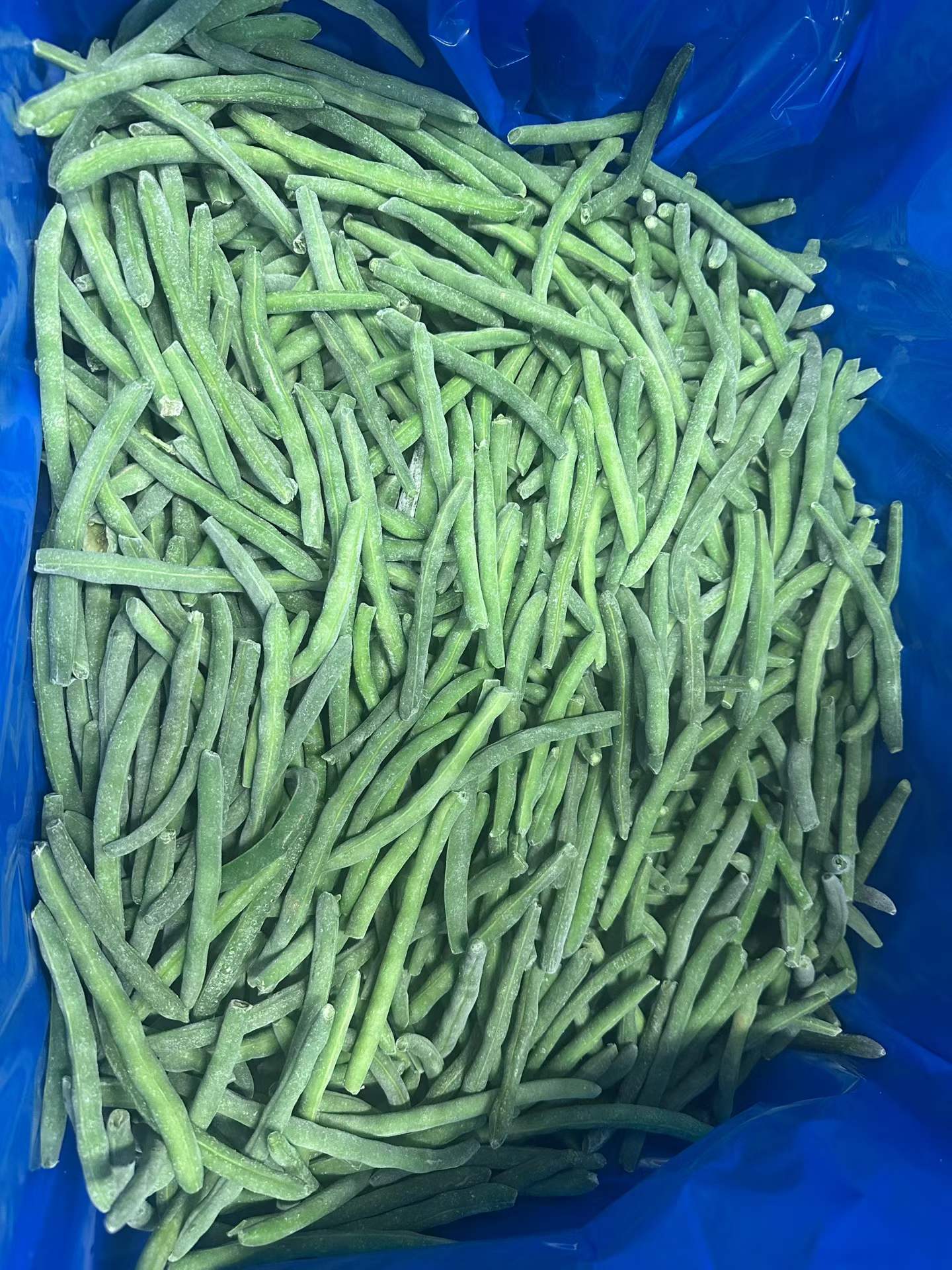 冷冻青刀豆加工生产线