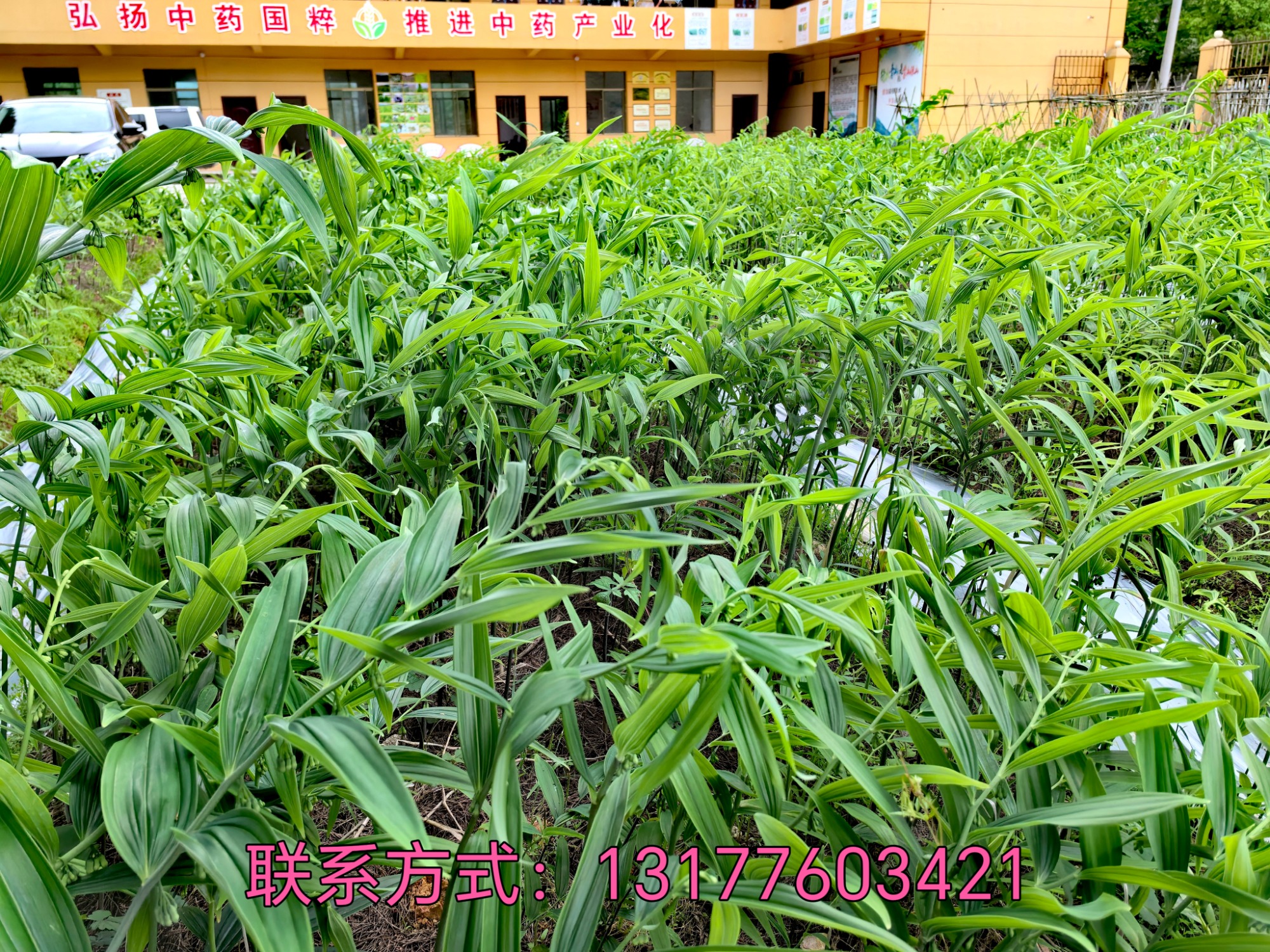 产业配套设施