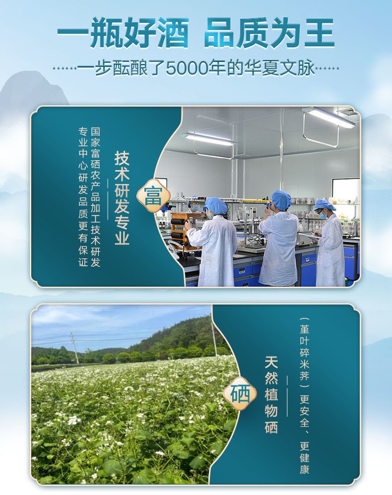 厂区实景图
