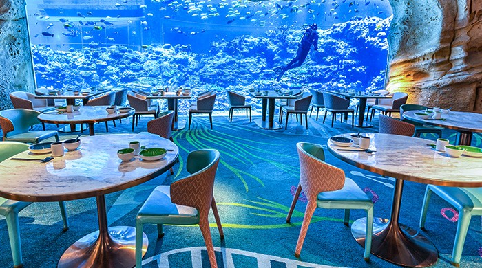 珠海文旅出行示意图