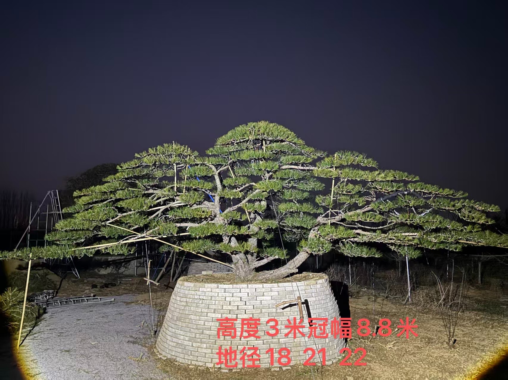 培育基地实景