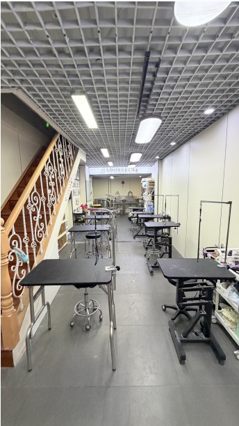 pet grooming training environment