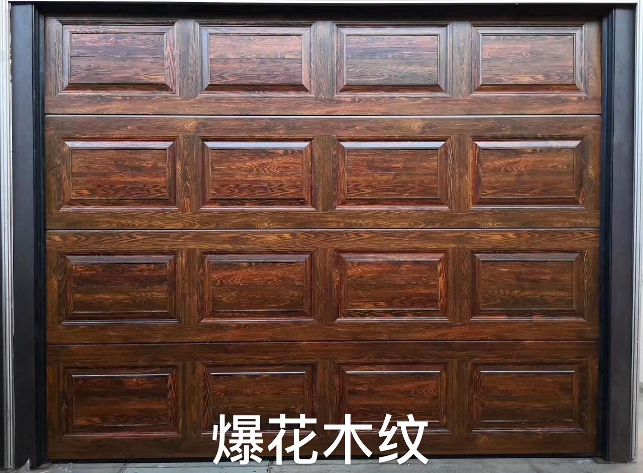 工业快速门实景图