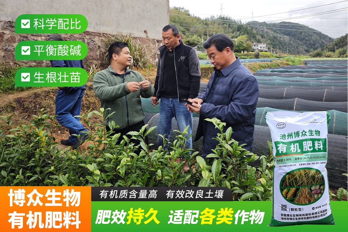 厂区发酵车间与成品出库