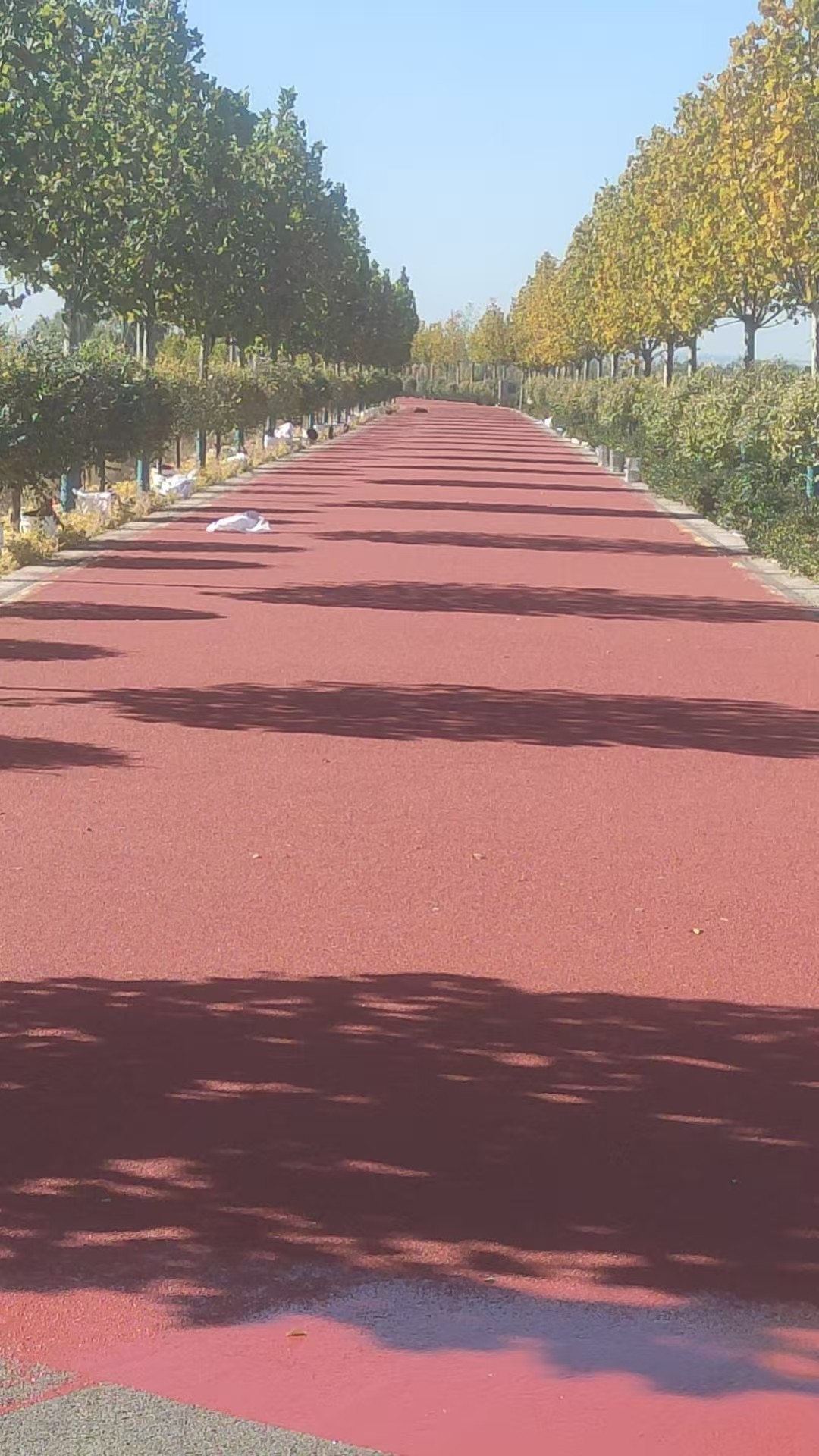 工厂地面固化处理实景