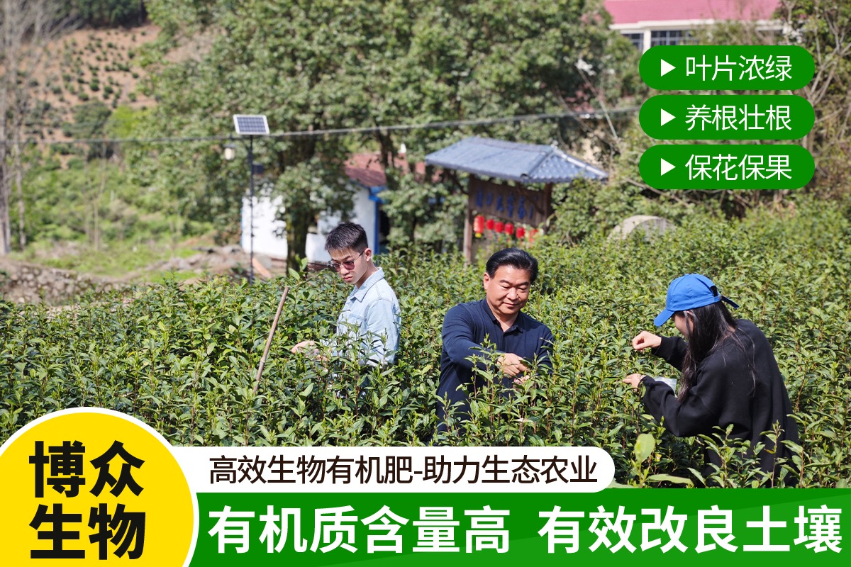 生产线运行实拍