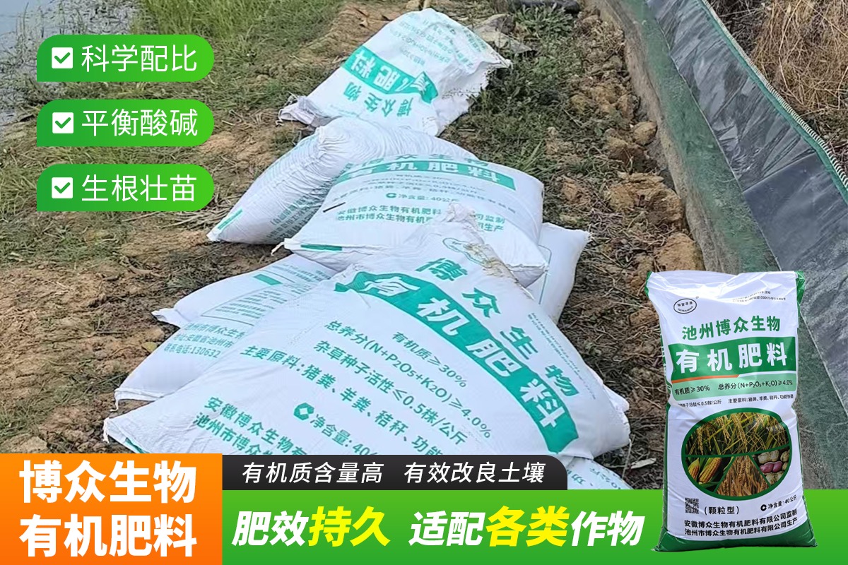 草莓田间施用示范