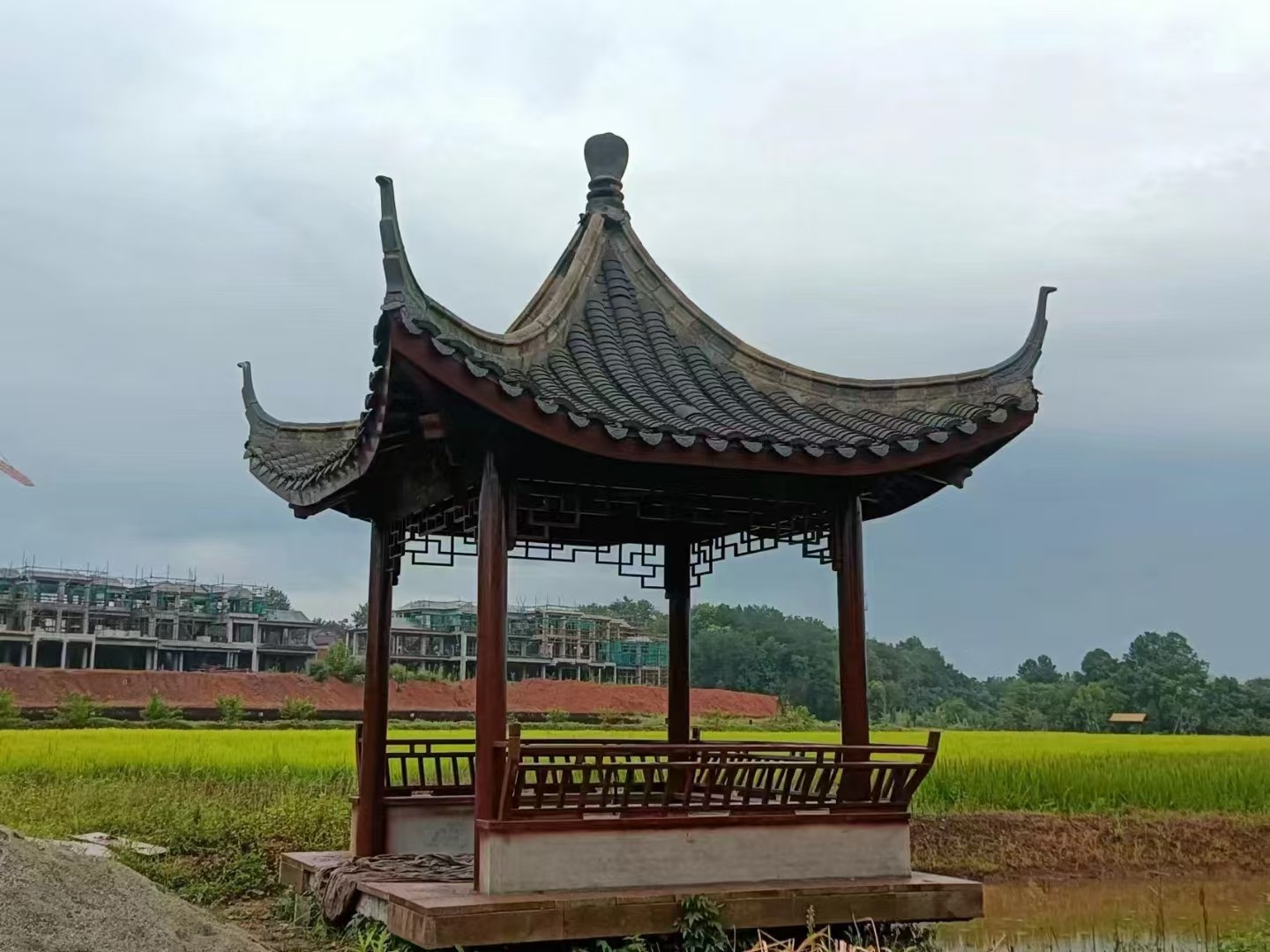 实拍图