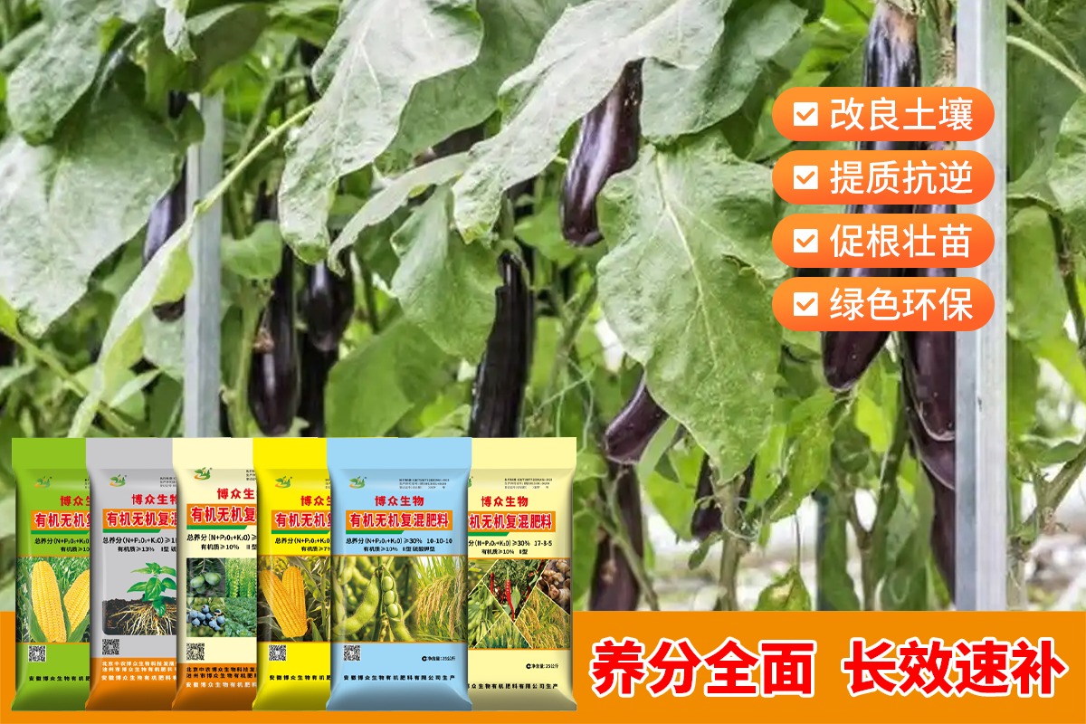 有机肥生产与检测现场