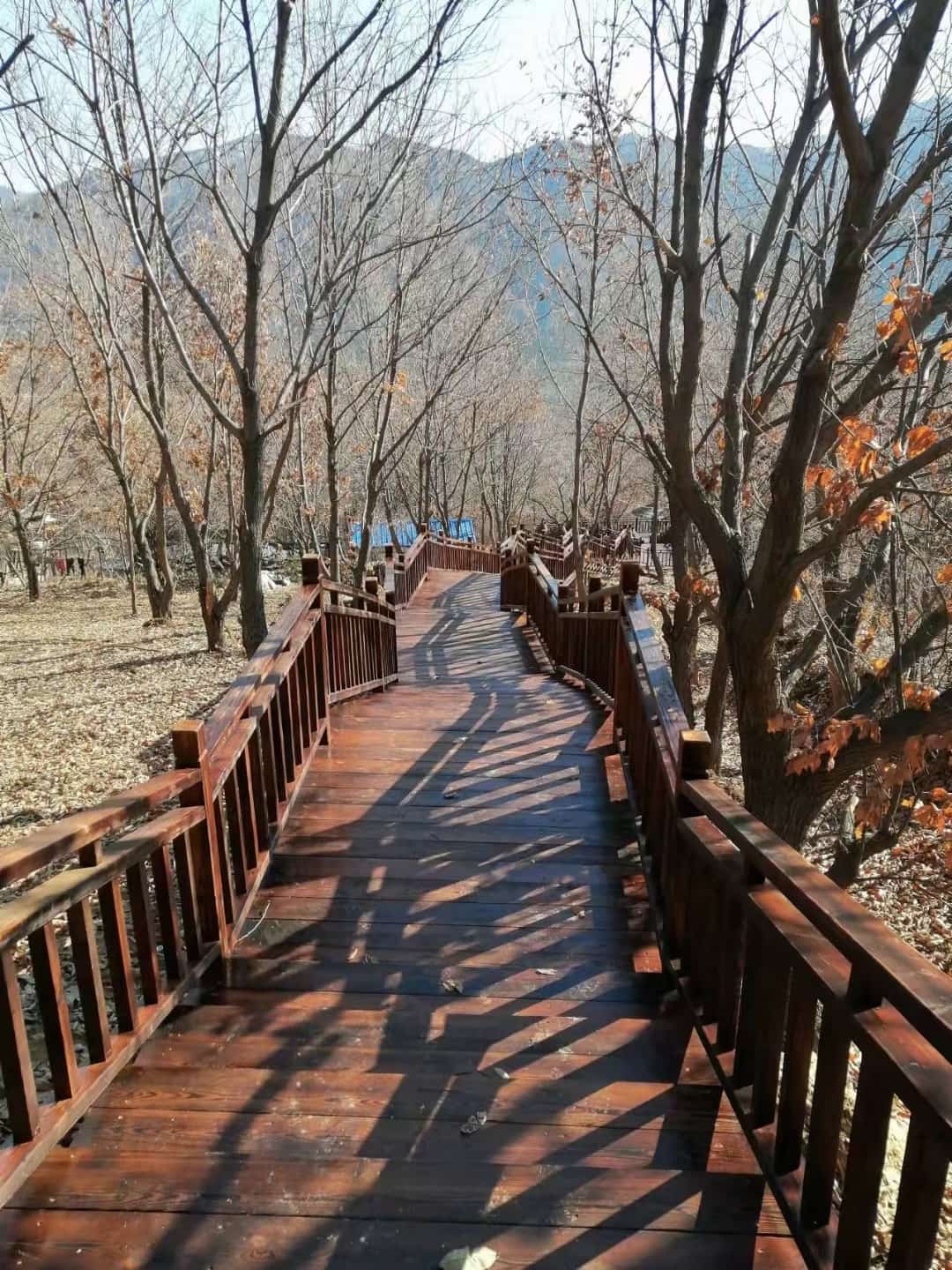 防腐木加工与交付实景