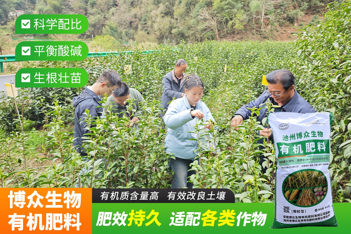 土壤检测与田间指导现场