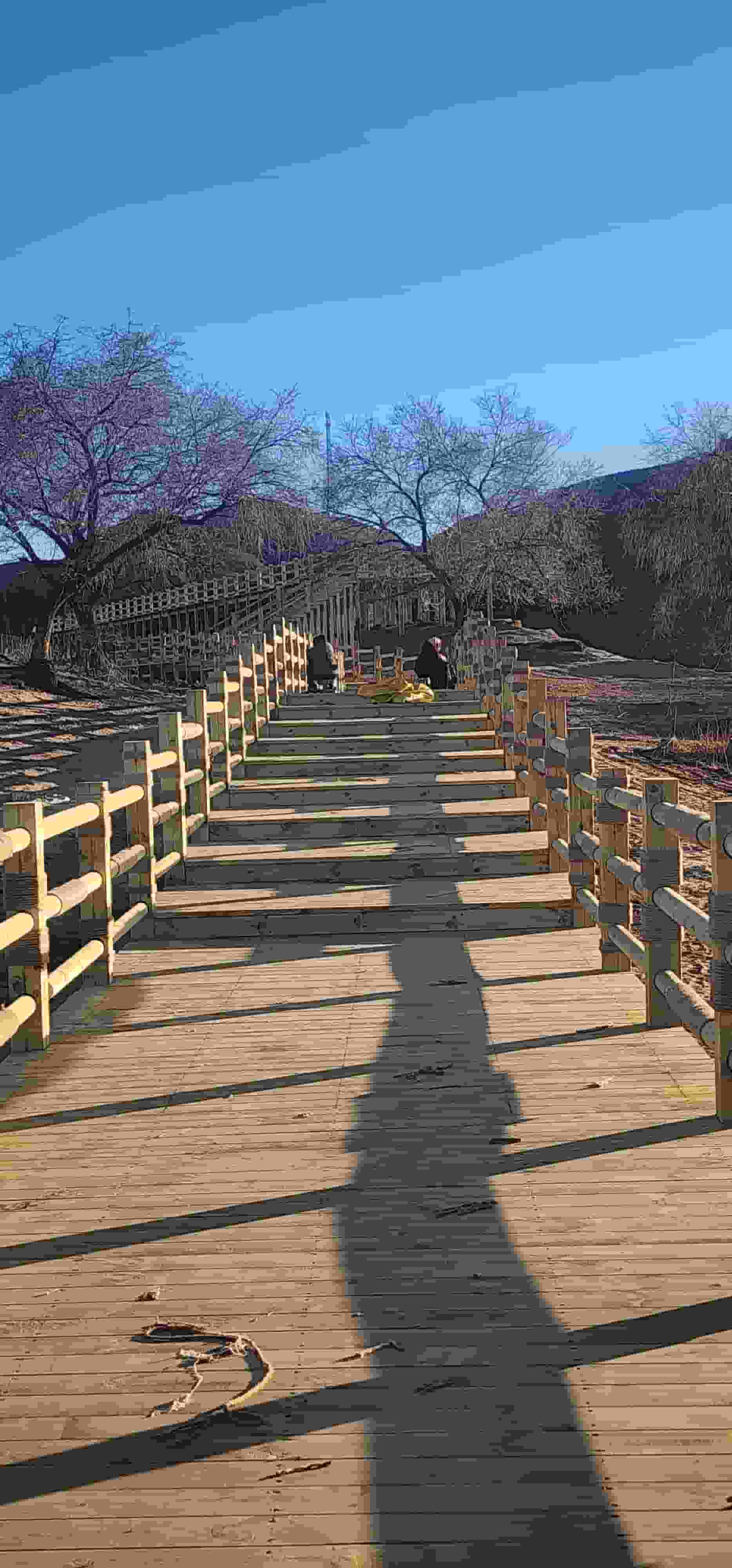 沈阳市大东木栈道