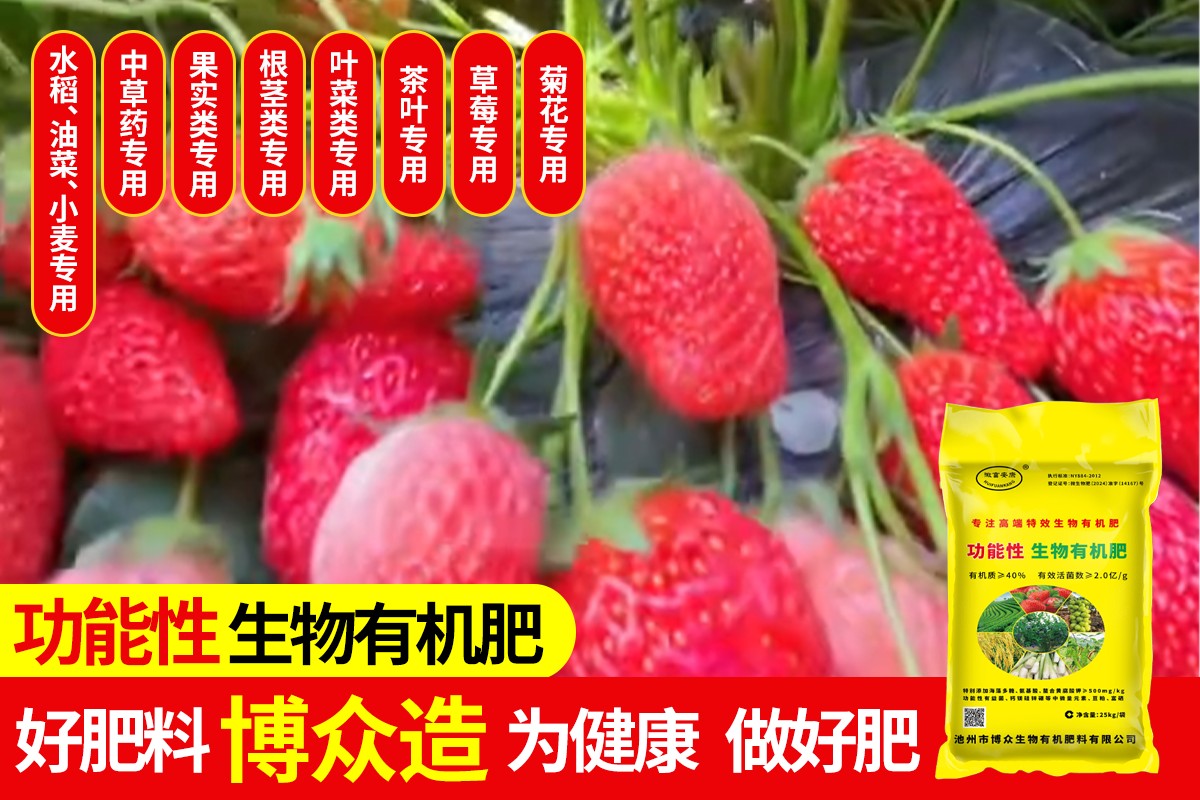 功能性有机肥生产与检测场景