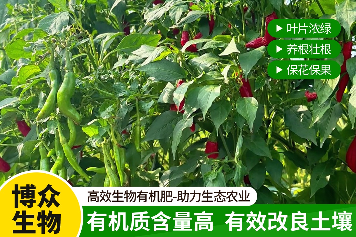 测土配方与田间指导