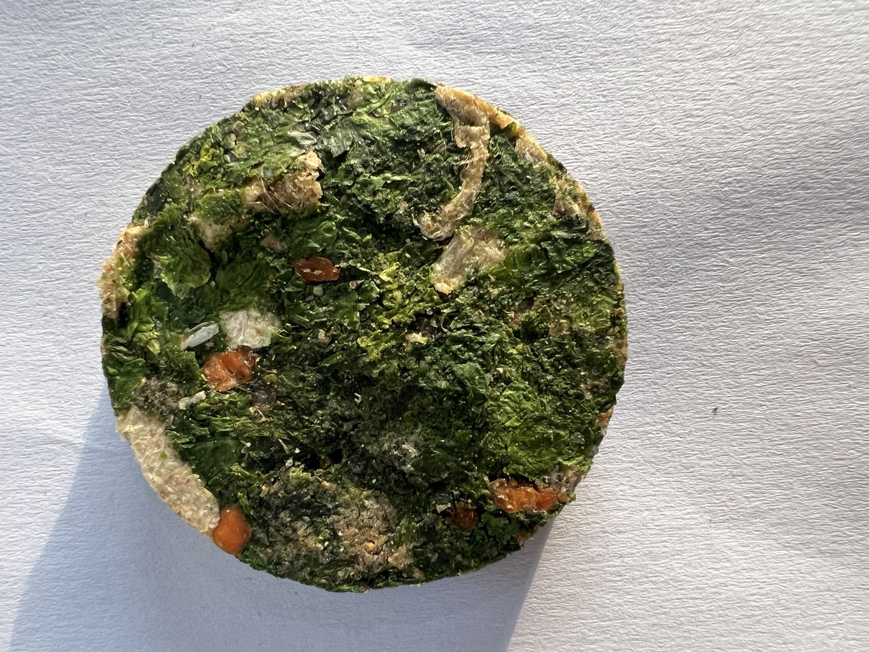 海带苗养殖环境