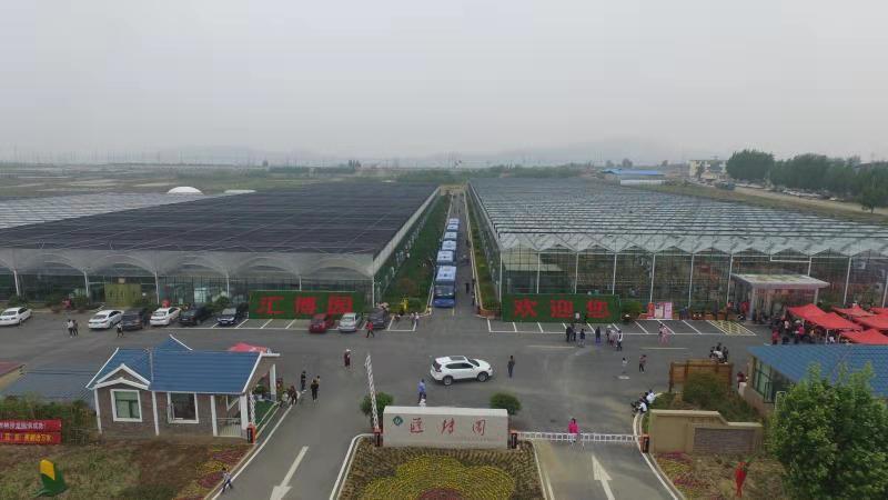 实拍图