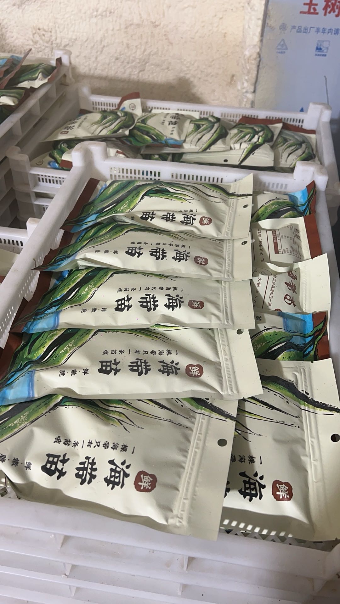 藻类生产基地实拍