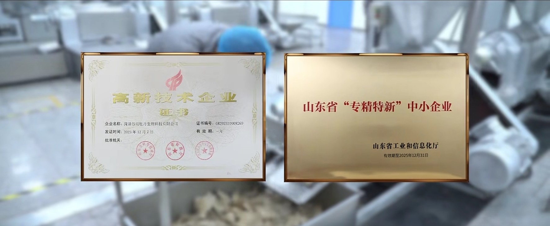牡丹原料加工实景图