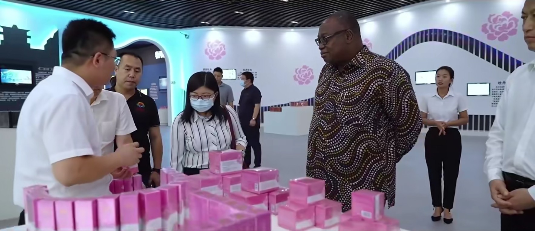 牡丹活性成分萃取工艺示意图