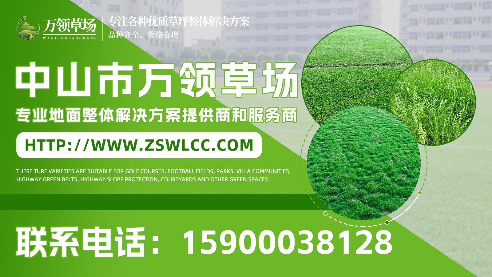 草皮种植与质检实拍
