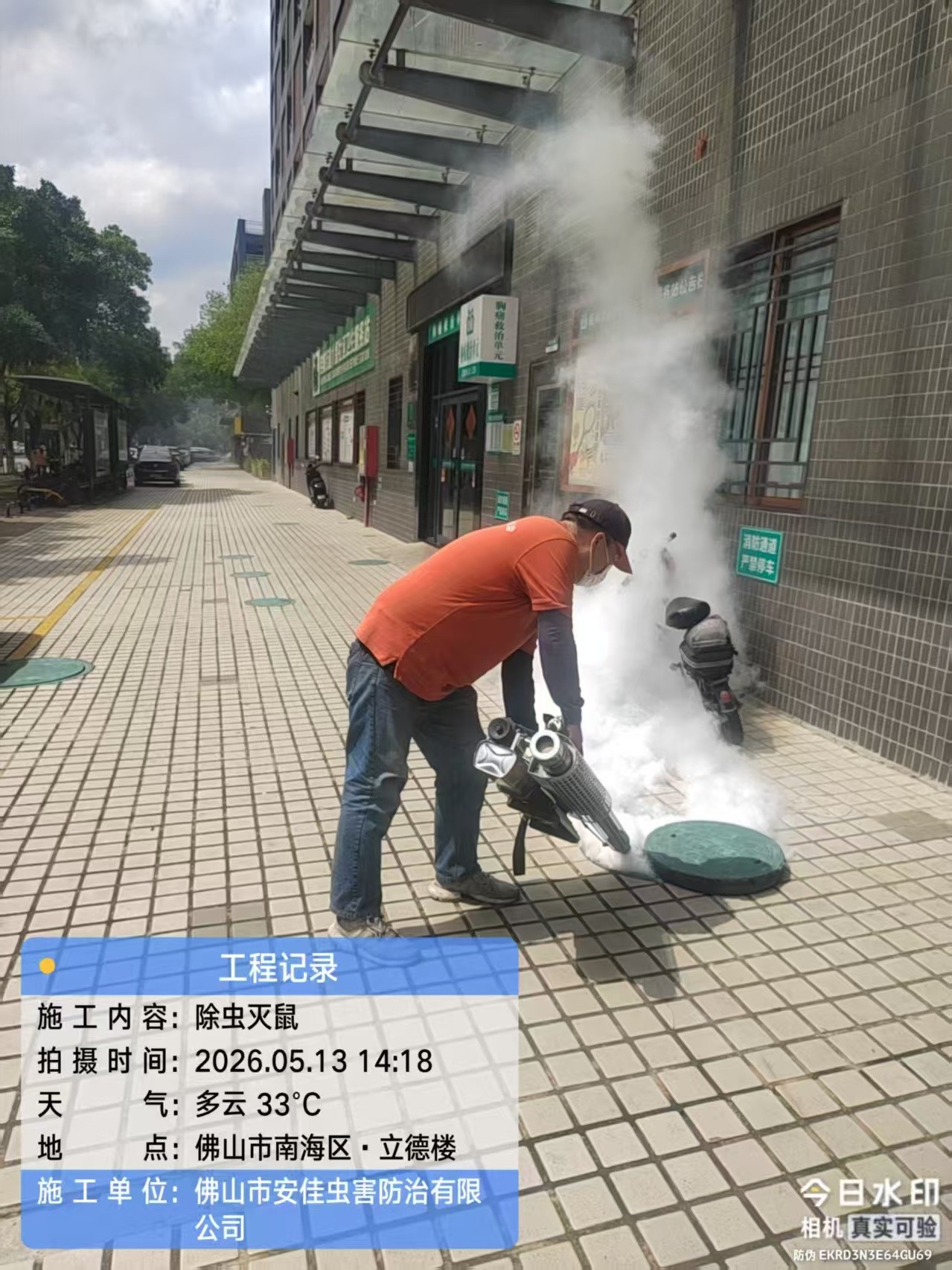 流程展示
