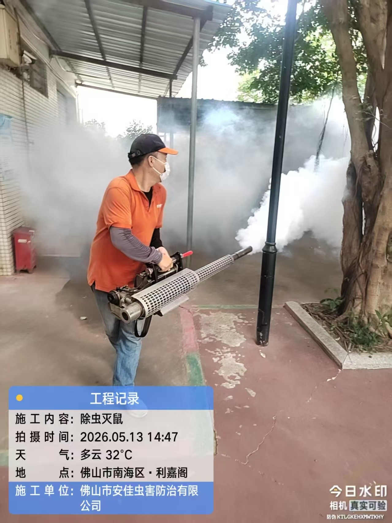 Professional Pest Control Service