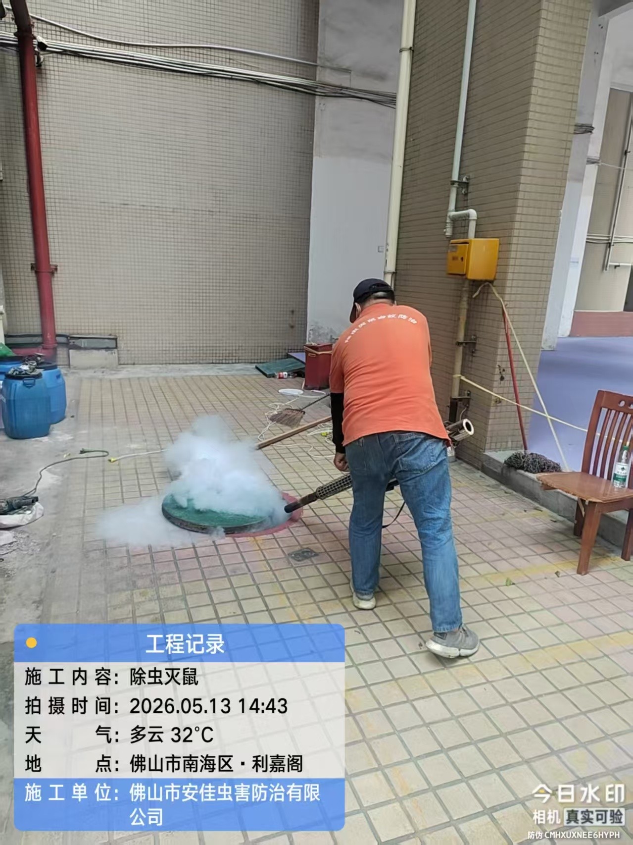 虫害隐患排查示例
